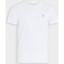 Vêtements Homme T-shirts manches courtes Guess M2YI24 J1314 Blanc