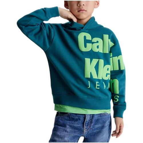 Vêtements Garçon Sweats Calvin Klein Jeans  Vert