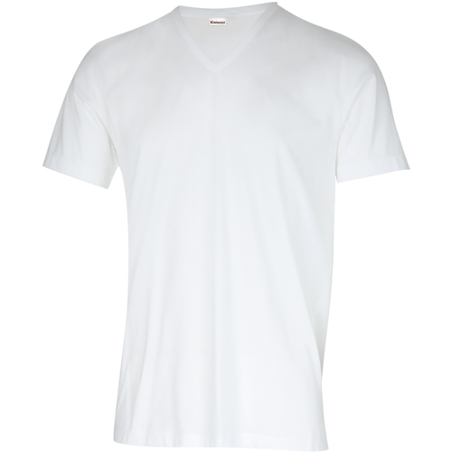 Vêtements Homme T-shirts manches courtes Eminence T-shirt col V Coton d'Egypte Blanc