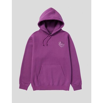 Vêtements Homme Sweats Huf  Violet