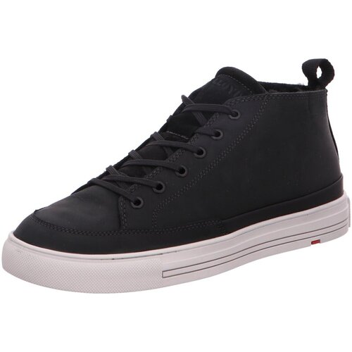 Chaussures Homme Derbies & Richelieu Lloyd  Noir