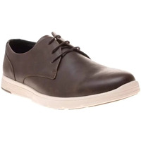 Chaussures Homme Baskets basses Timberland Bradstreet Oxford Marron