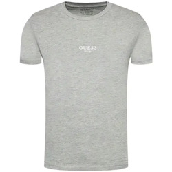 Vêtements Homme T-shirts manches courtes Guess Essential Gris