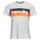 Vêtements Homme T-shirts manches courtes Superdry CALI STRIPED LOGO T SHIRT Blanc