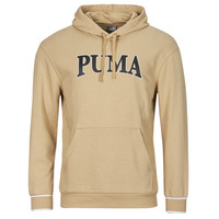 Vêtements Homme Sweats Puma PUMA SQUAD HOODIE TR Beige