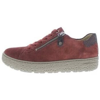 Chaussures Femme Baskets mode Hartjes Phil Shoe Bordeaux