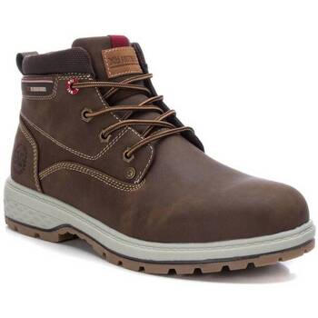 Chaussures Homme Bottes Xti 14204602 Marron