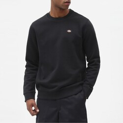 Vêtements Homme Sweats Dickies  Noir