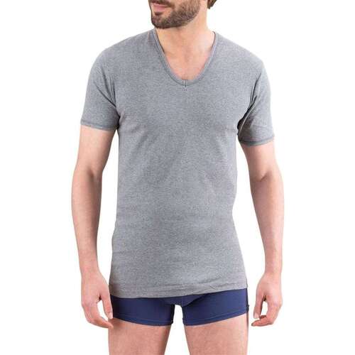 Vêtements Homme T-shirts manches courtes Eminence 105372VTPER27 Gris