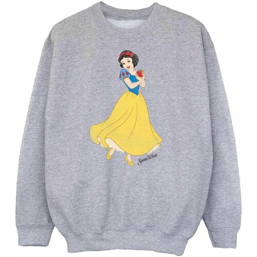 Vêtements Fille Sweats Snow White And The Seven Dwarfs Classic Gris