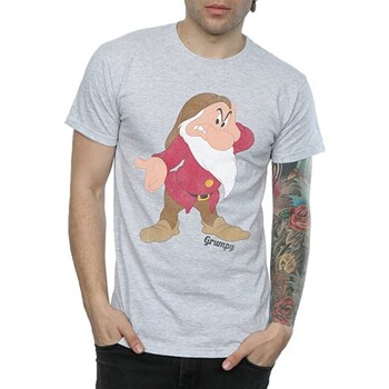 Vêtements Homme T-shirts manches longues Snow White And The Seven Dwarfs Classic Gris