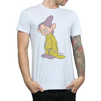 Vêtements Homme T-shirts manches longues Snow White And The Seven Dwarfs Classic Gris