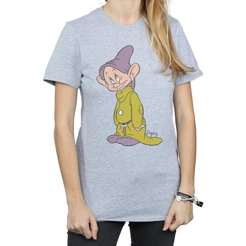 Vêtements Femme T-shirts manches longues Snow White And The Seven Dwarfs Classic Gris