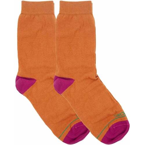 Sous-vêtements Femme Chaussettes Panchic PASP005-0061Y001-KAKI Orange