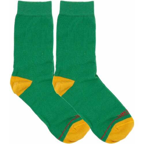 Sous-vêtements Femme Chaussettes Panchic PASP005-0061Y001-VERDE Vert