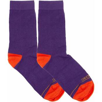 Sous-vêtements Femme Chaussettes Panchic PASP005-0061Y001-VIOLA Violet