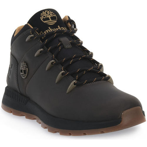 Chaussures Homme Randonnée Timberland SPRINT TREKKER MID CASTELROCK Marron