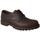 Chaussures Homme Derbies & Richelieu Panama Jack  Marron