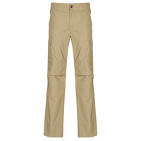 Vêtements Homme Pantalons 5 poches Dickies MILLERVILLE Beige