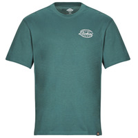 Vêtements Homme T-shirts manches courtes Dickies DICKIES GLOBE TEE SS Vert