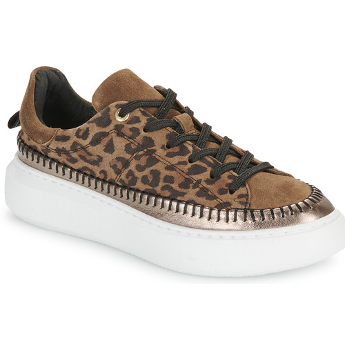 Chaussures Femme Baskets basses JB Martin FLEUR CROUTE VELOURS LEOPARD / BRONZE