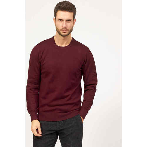 Vêtements Homme Pulls Sette/Mezzo Pull col rond basique homme Settemezzo Bordeaux