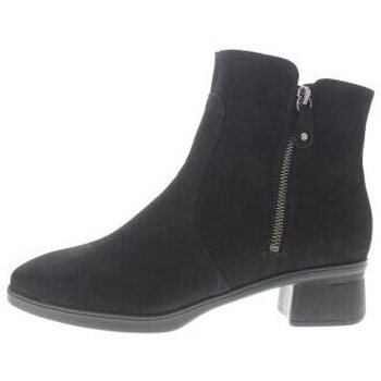 Chaussures Femme Boots Hartjes Blues boot Noir