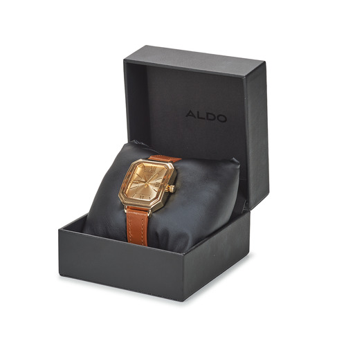 Montres & Bijoux Homme Montres Analogiques Aldo LOODWEG LIGHT BROWN