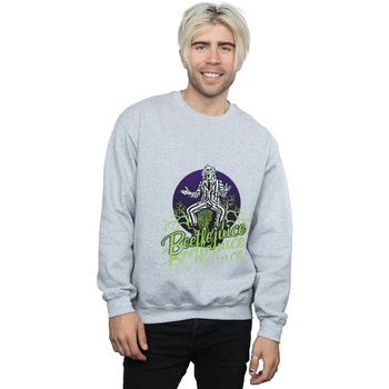 Vêtements Homme Sweats Beetlejuice BI13786 Gris