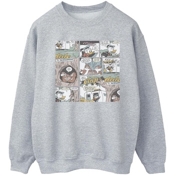 Vêtements Femme Sweats Disney Chip 'n Dale Gris