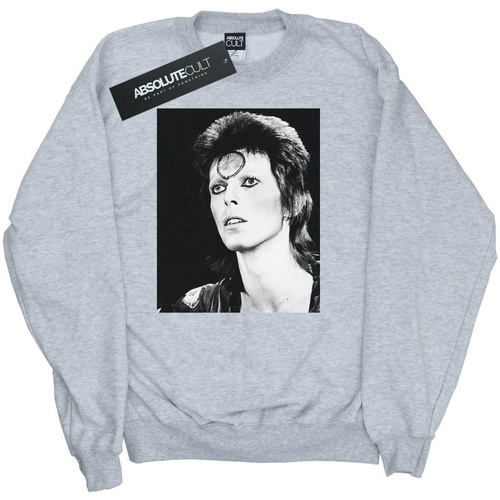 Vêtements Fille Sweats David Bowie Looking Gris