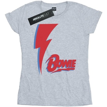 Vêtements Femme T-shirts manches longues David Bowie BI16669 Gris