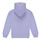 Vêtements Fille Sweats Levi's LVG-BATWING CHEST HIT HOODIE Violet