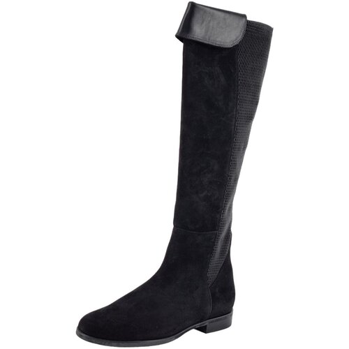 Chaussures Femme Bottes Hassia  Noir