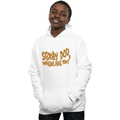 Vêtements Garçon Sweats Scooby Doo Where Are You Blanc