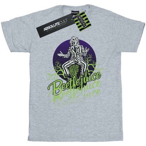 Vêtements Homme T-shirts manches longues Beetlejuice BI16067 Gris