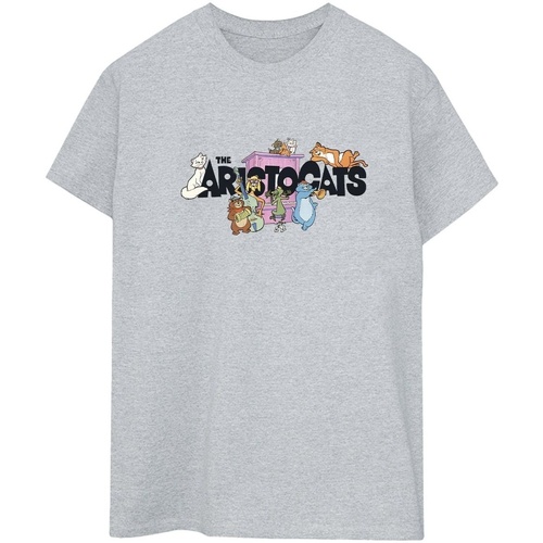 Vêtements Femme T-shirts manches longues Disney Aristocats Gris