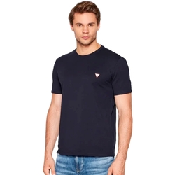 Vêtements Homme T-shirts manches courtes Guess core Bleu