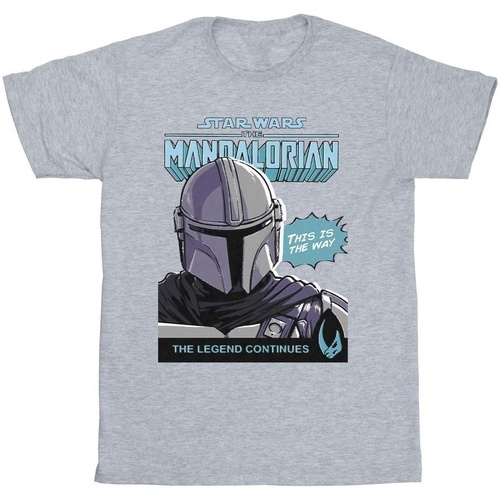 Vêtements Garçon T-shirts & Polos Star Wars The Mandalorian BI37215 Gris