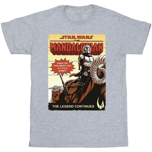 Vêtements Garçon T-shirts & Polos Star Wars The Mandalorian Bumpy Ride Gris