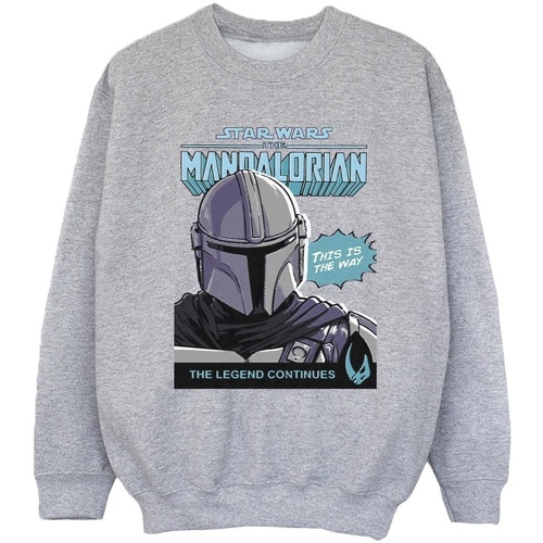 Vêtements Fille Sweats Star Wars The Mandalorian BI38149 Gris