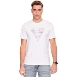 Vêtements Homme T-shirts manches courtes Guess Triangle G Blanc