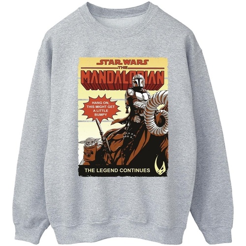 Vêtements Femme Sweats Star Wars The Mandalorian Bumpy Ride Gris