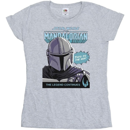 Vêtements Femme T-shirts manches longues Star Wars The Mandalorian BI43177 Gris