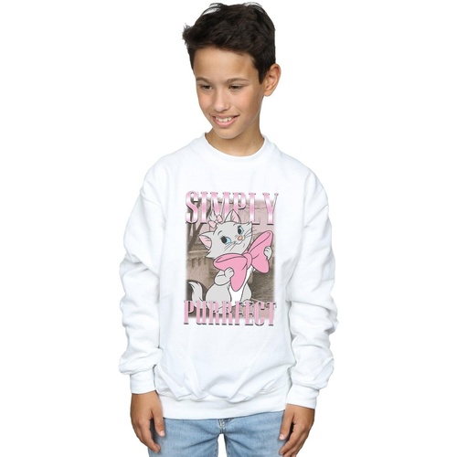 Vêtements Garçon Sweats Disney Aristocats Simply Purrfect Blanc