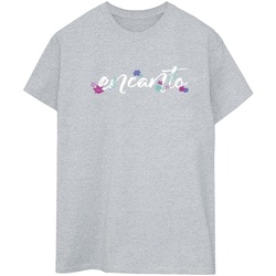 Vêtements Femme T-shirts manches longues Disney Encanto Gris