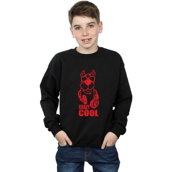 Vêtements Garçon Sweats Scooby Doo Crazy Cool Noir