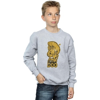 Vêtements Garçon Sweats Scooby Doo BI32378 Gris