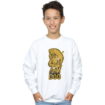 Vêtements Garçon Sweats Scooby Doo BI32378 Blanc