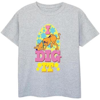 Vêtements Garçon T-shirts & Polos Scooby Doo Easter Gris